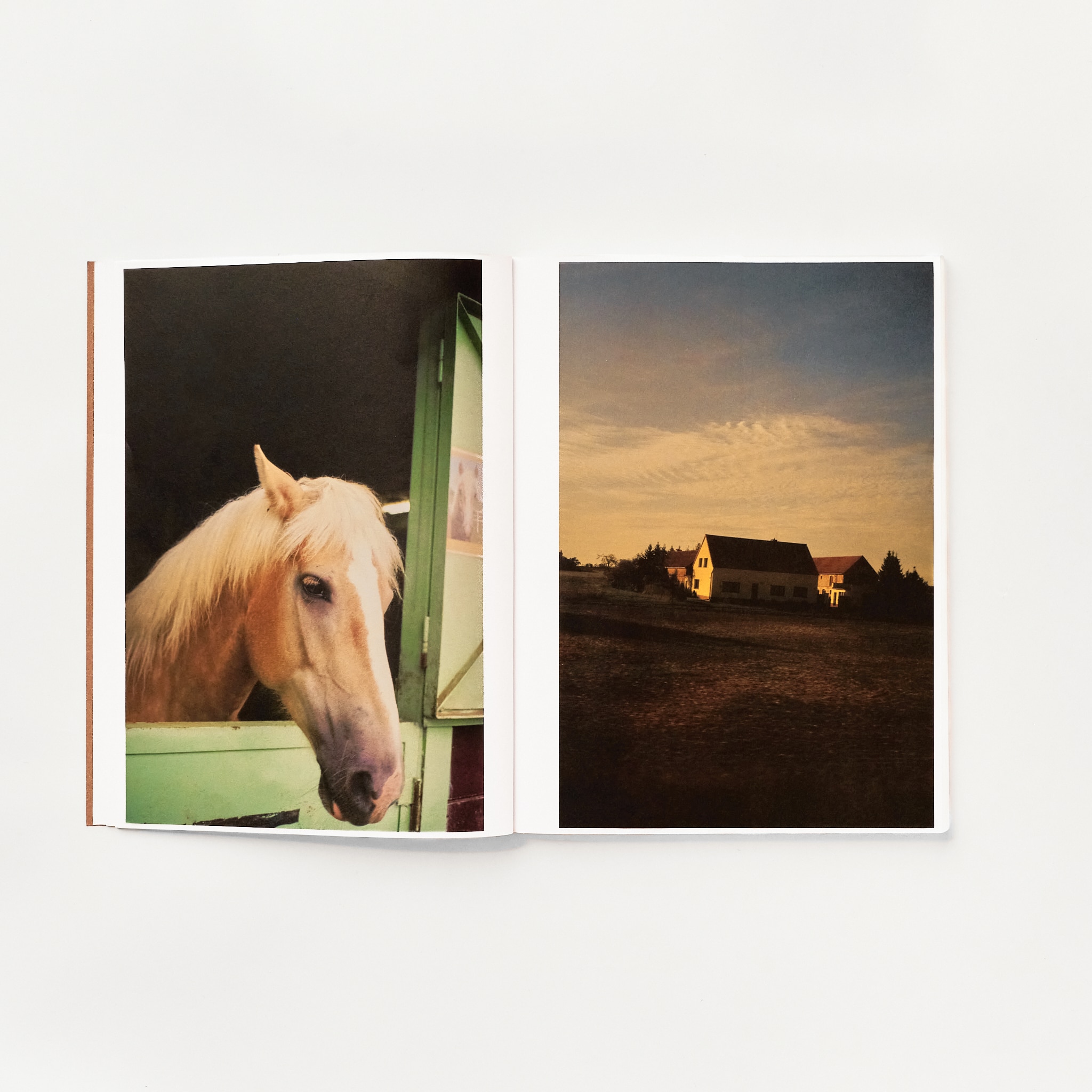 嶌村吉祥丸『what is good?』 A4判 変型