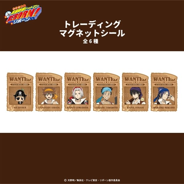 家庭教師ヒットマンREBORN! | 描き下ろし パイレーツ衣装 | トレーディング マグネットシール (全6種) | BOX (全6種コンプリート)