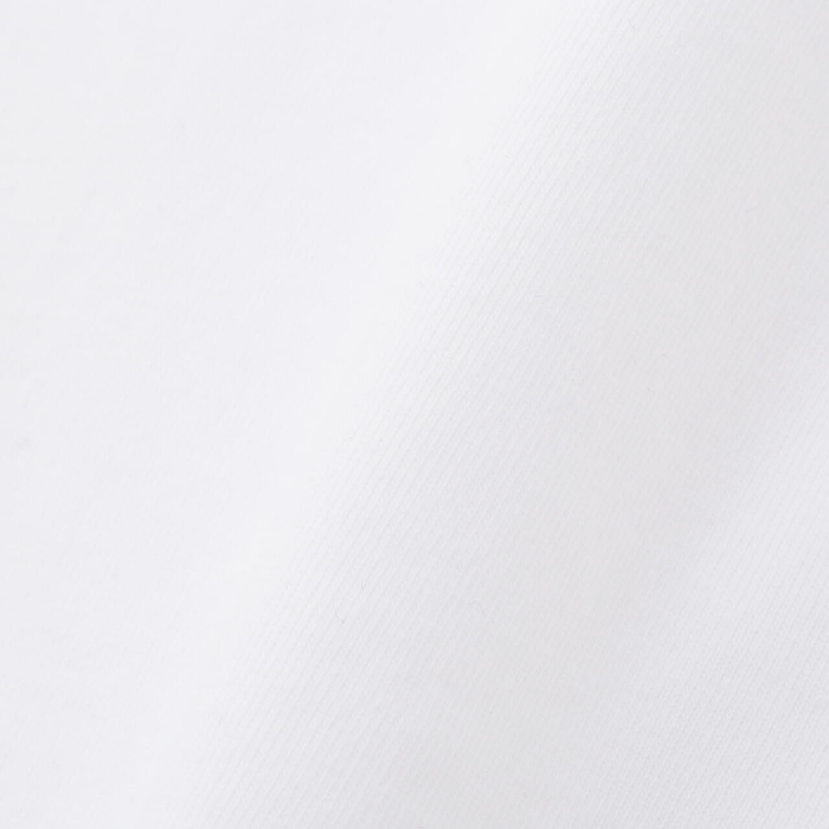 Schott/ショット/DEER STUDS T-SHIRT FLOWER/ディア スタッヅ Tシャツ フラワー ホワイト M