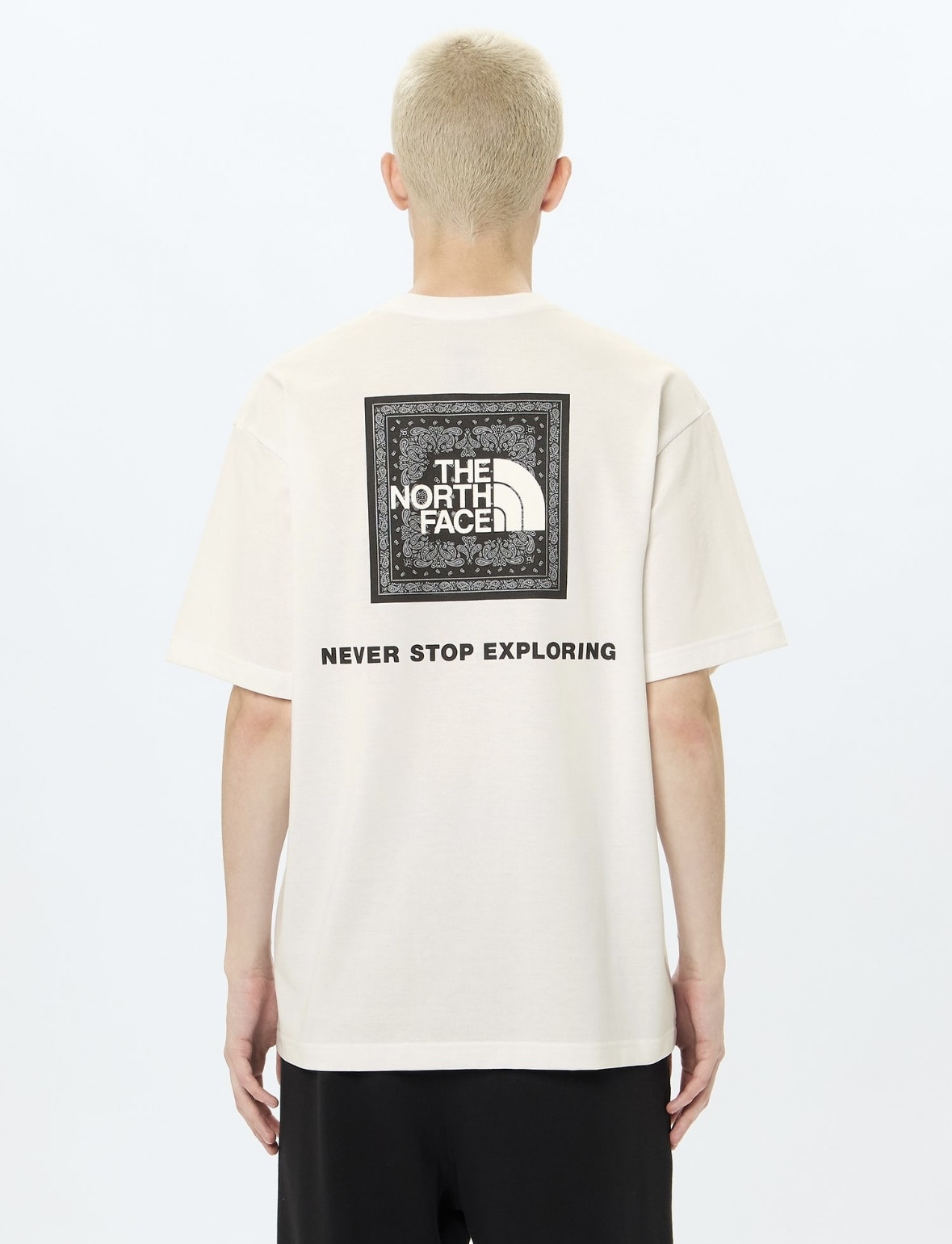 THE NORTH FACE/ザ・ノースフェイス/S/S Bandana Square Logo Tee ショートスリーブバンダナスクエアロゴティー WHITE M