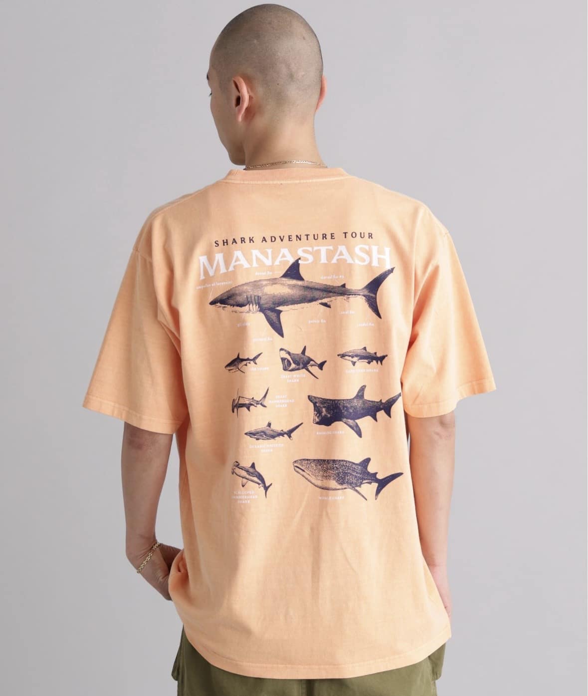 MANASTASH/マナスタッシュ/PUMICE TEE SHARK オレンジ S