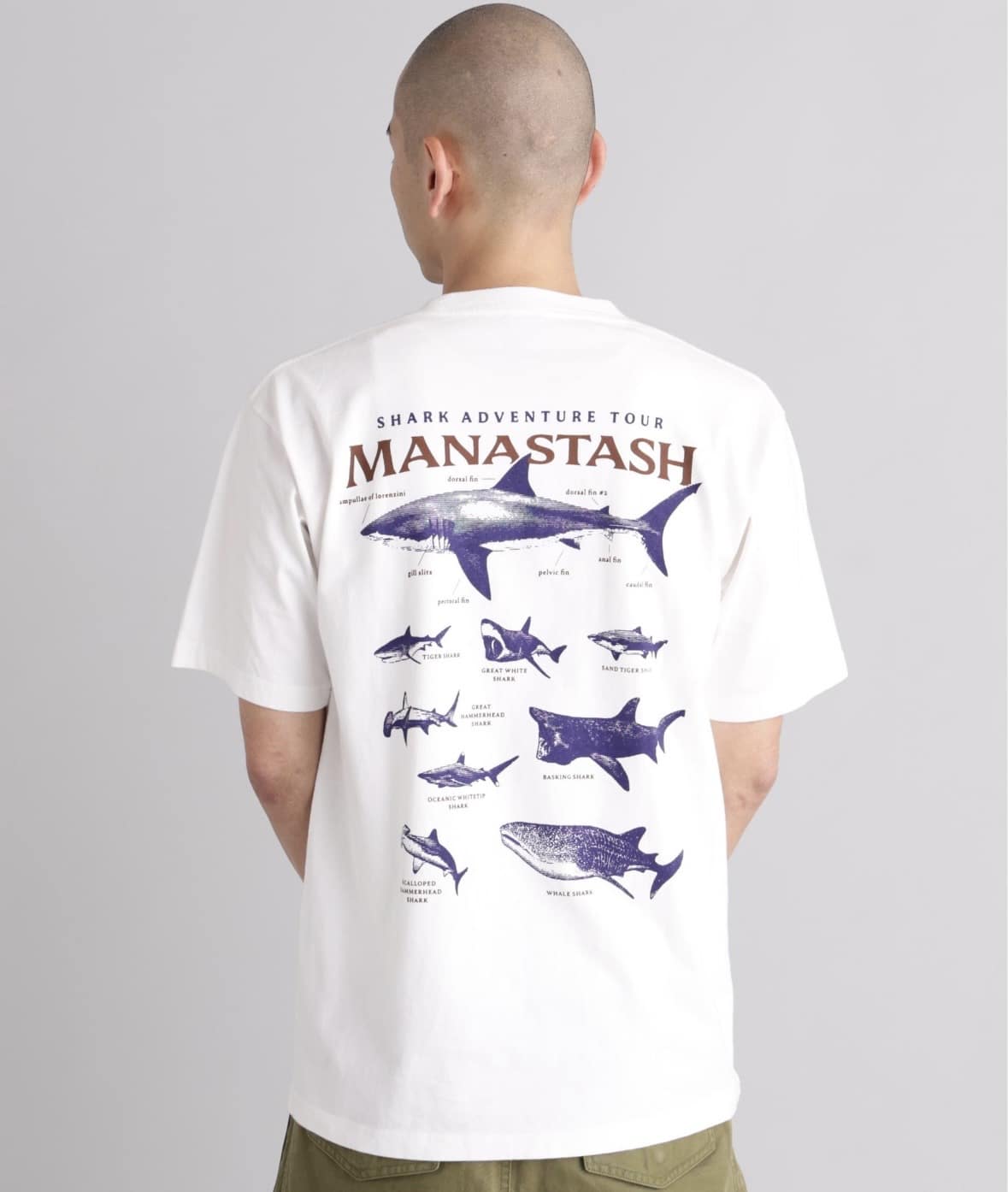 MANASTASH/マナスタッシュ/PUMICE TEE SHARK ホワイト S