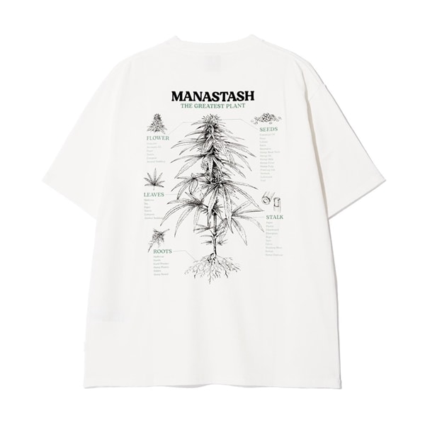MANASTASH/マナスタッシュ/HEMP TEE TGP ホワイト S