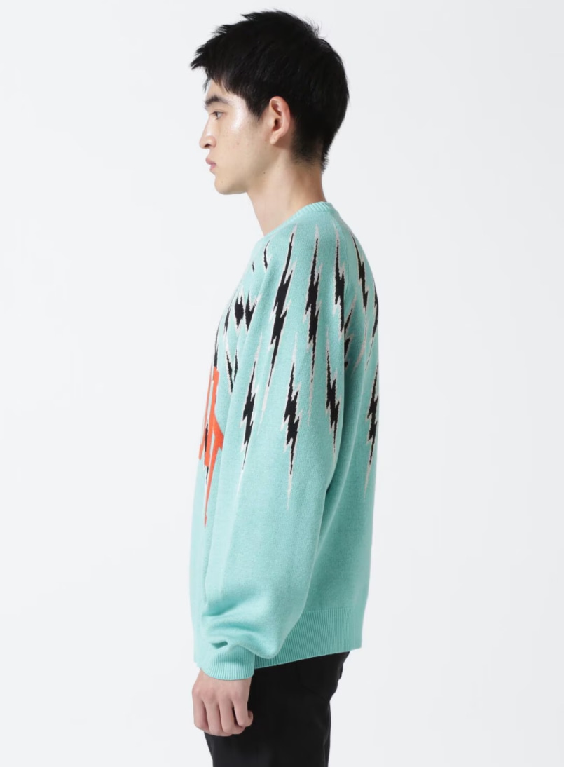 タインダブルプッシュ BIPOLAR CREW SWEAT MINT 楽しめ