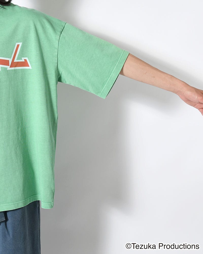 RAIZO  ATOM T -MINT- MINT 0