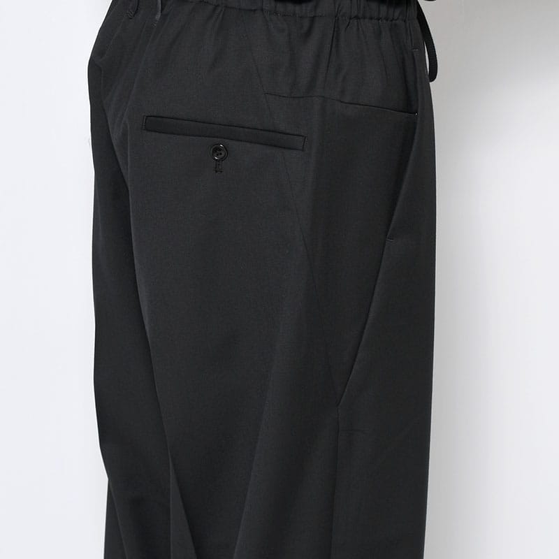 ANEI  ISLE SLACKS T.W BLACK 2