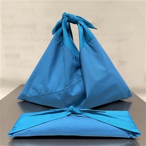 AZUMA あずま　BAG PLAIN PEACOCK