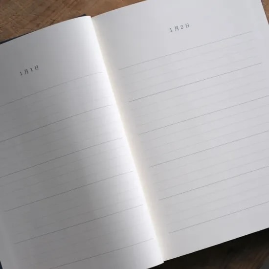 5年日記 (花森安治) 赤