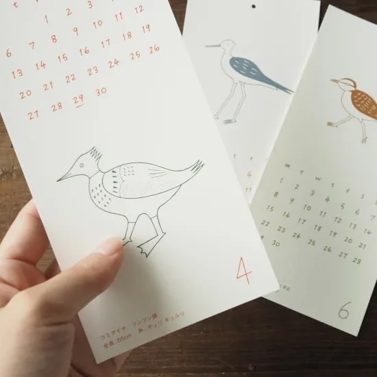 ノラヤ 海の鳥ごよみ　2026年