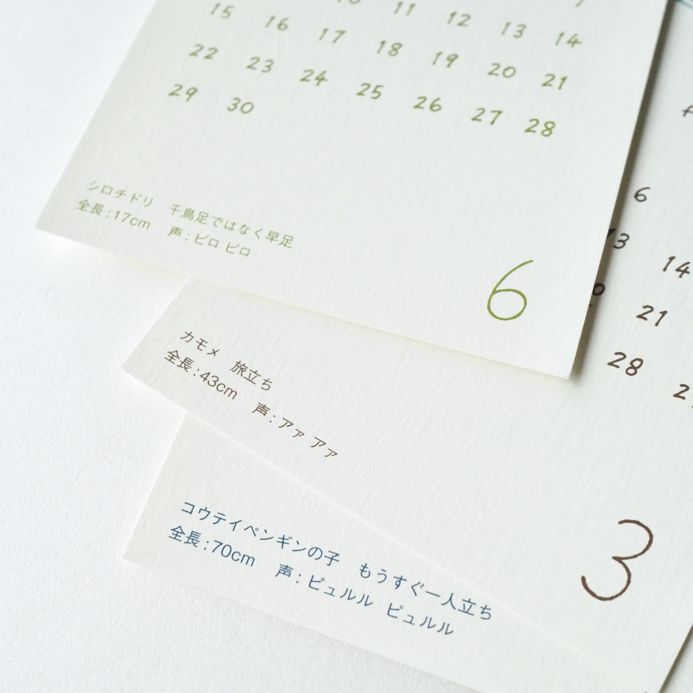 それぞれの鳥の紹介や一言が添えられています。