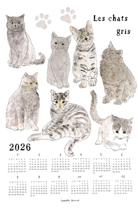 グレーの猫たち いろいろ