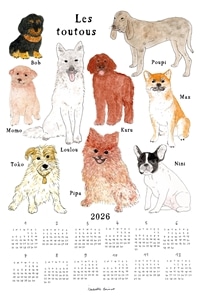 かわいい わんちゃんたち