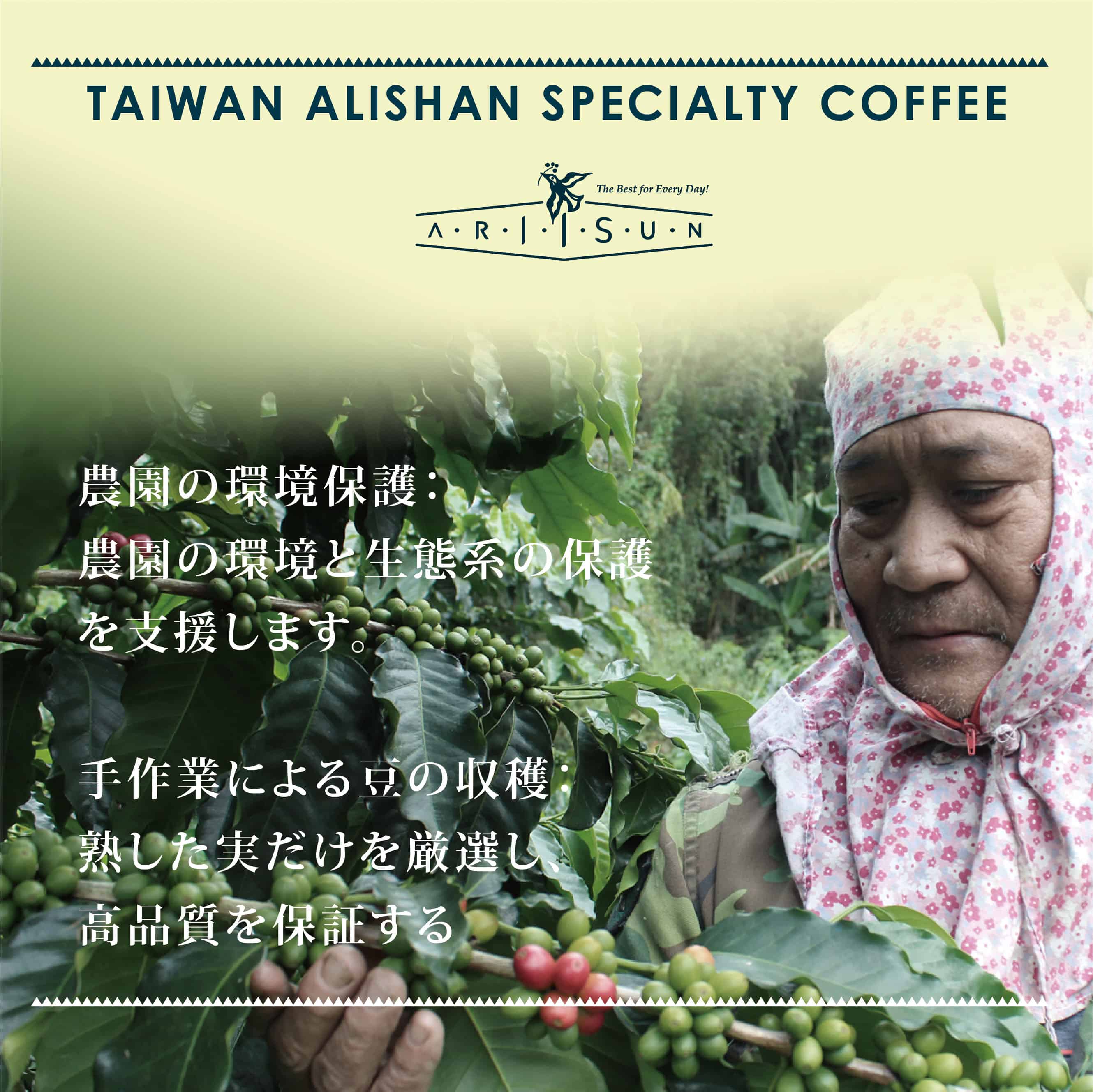 【コラボ企画】GOLD SL34 ARIISUN x 山田哲史 with Zhen5Ji Farm ナチュラル (Natural)