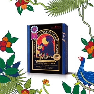 【コラボ企画】VIOLET GOLD So'ngna ARIISUN x 山田哲史 with ZouZhouYuan