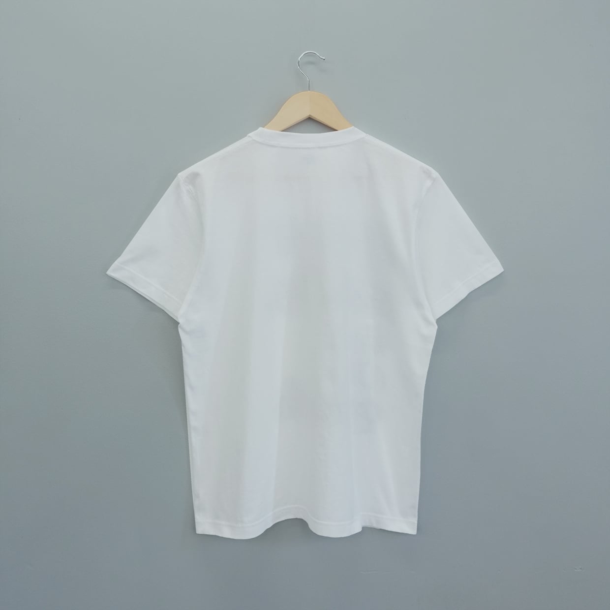 解体を主張するＴシャツ S