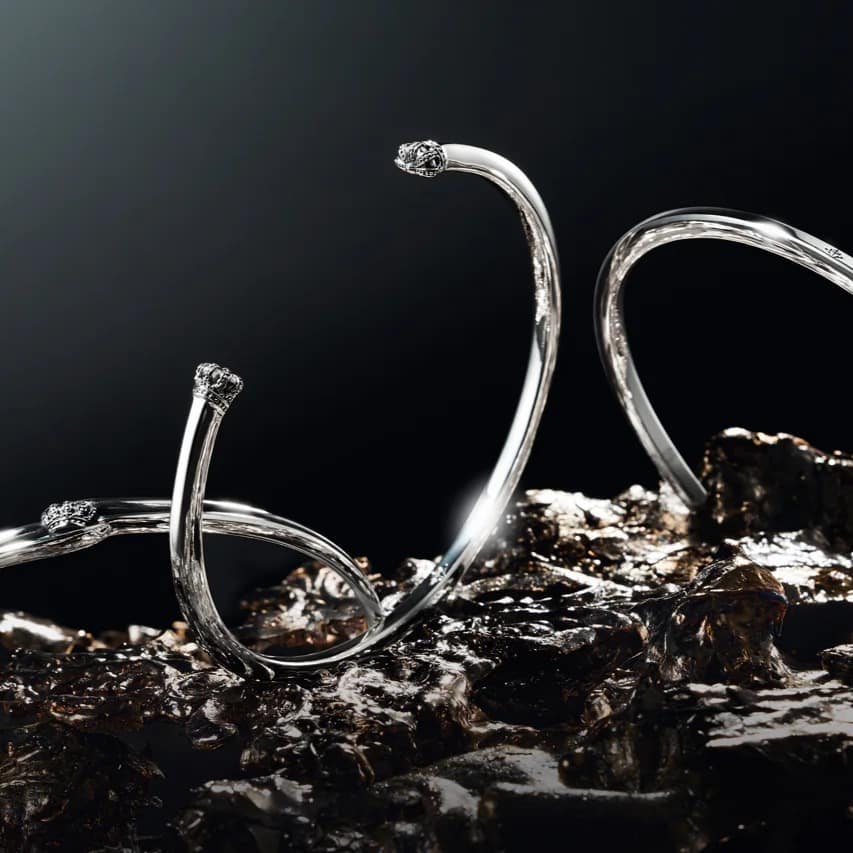 2026 CAPSULE COLLECTION