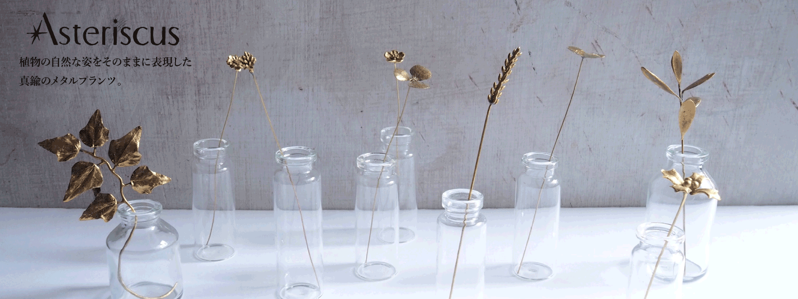 Asteriscus メタルプランツ