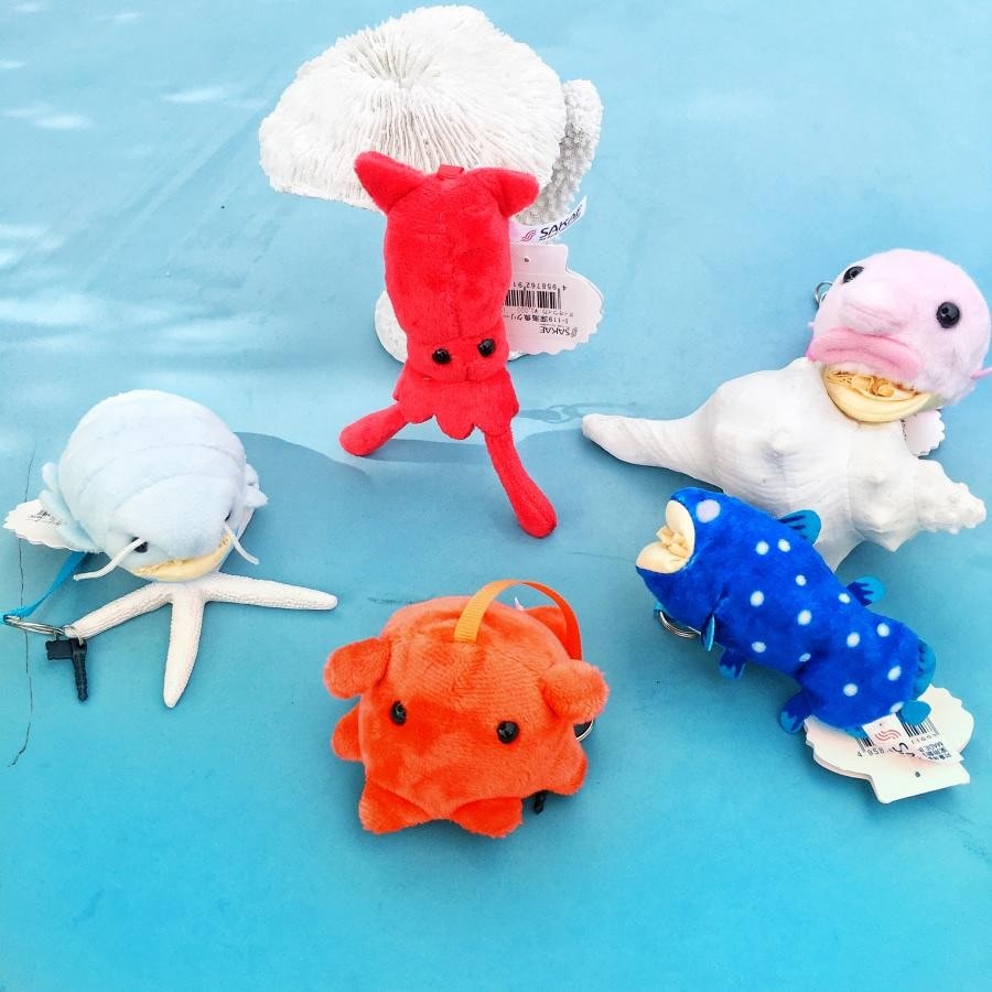 アニマルクリーナー【深海魚シリーズ】(ONE SIZE ダイオウイカ)｜ イワキ｜池袋PARCO ONLINE PARCO（オンラインパルコ）