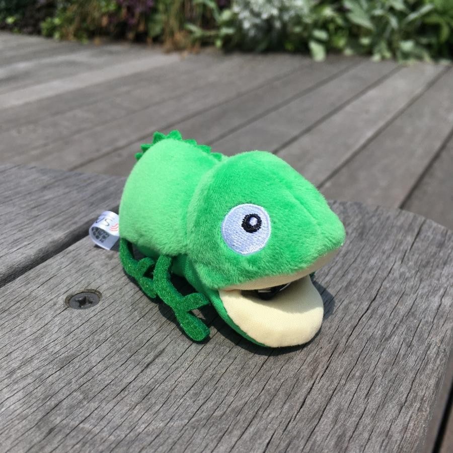 カメレオンクリーナー　GREEN GREEN ONE SIZE