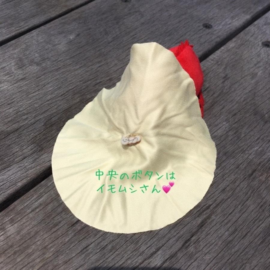 カメレオンクリーナー ORANGE ONE SIZE