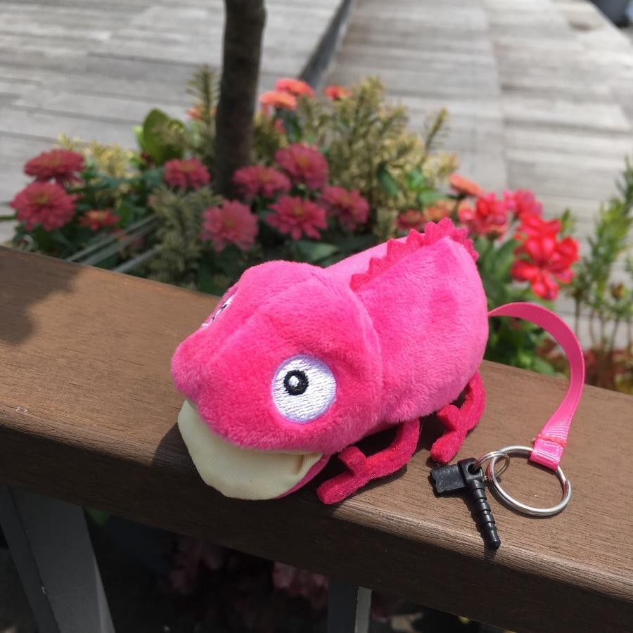 カメレオンクリーナー　PINK PINK ONE SIZE