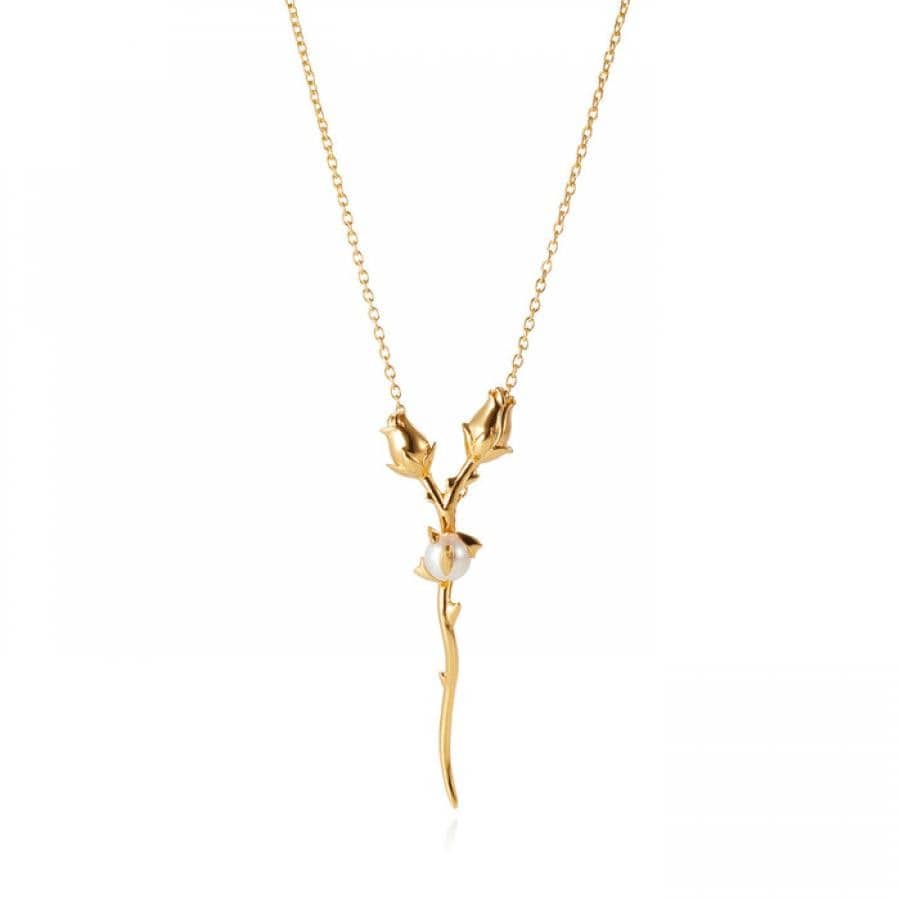 GOLDFINISH/WHITE PEARL