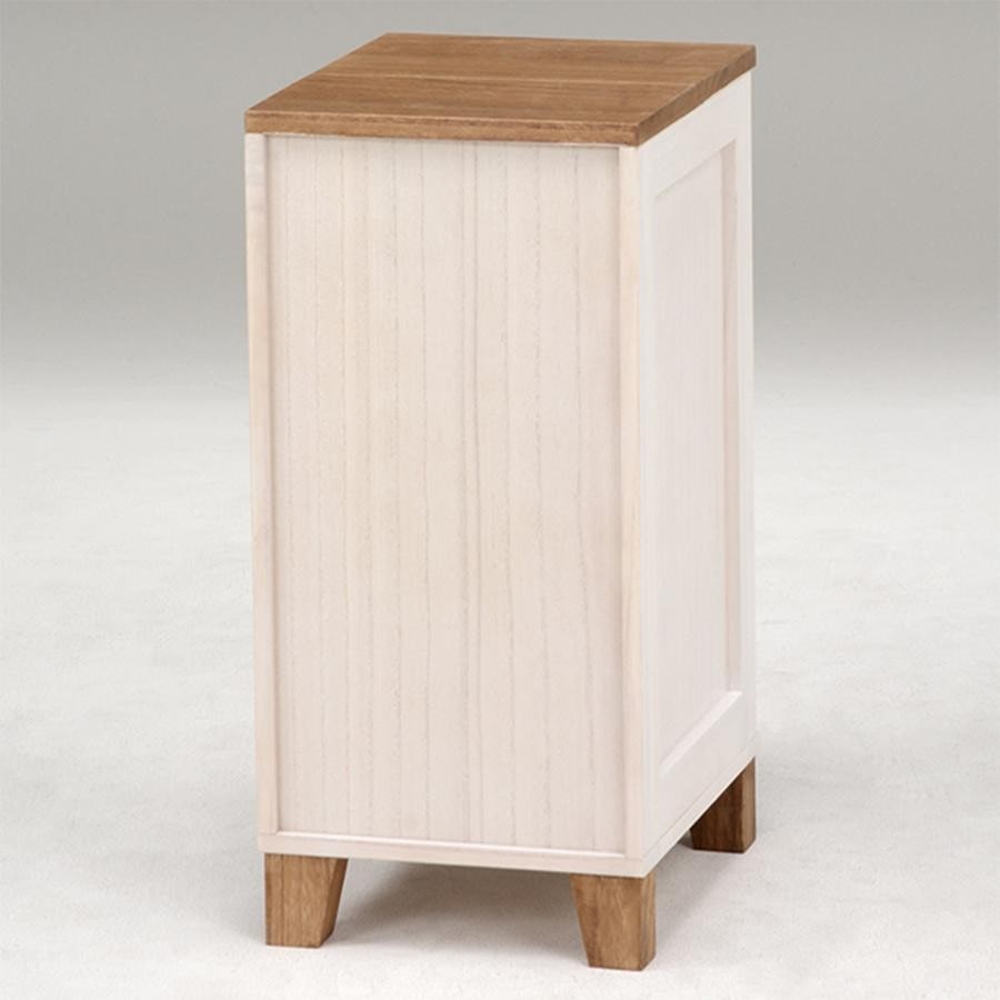 ドキュメントチェスト ロータイプ BROWN