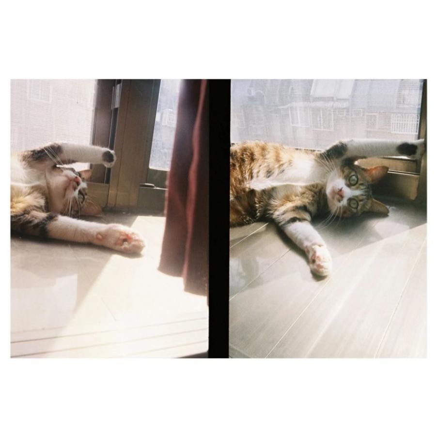 【SALE★12時までのご注文で即日出荷！】コダック Kodak EKTAR H35 HALF FRAME  [フィルムカメラ ハーフフレーム ブラック］ ブラック