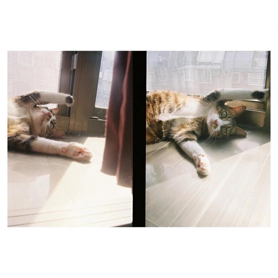 【SALE★12時までのご注文で即日出荷！】コダック Kodak EKTAR H35 HALF FRAME SAGE [フィルムカメラ ハーフフレーム セージ］ セージ