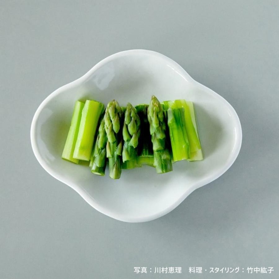 白磁 木瓜皿 中 / 九谷青窯