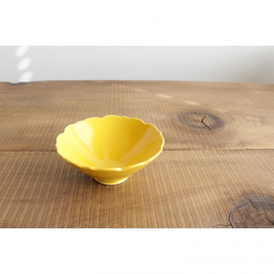 桔梗高台中付き / 洸琳窯