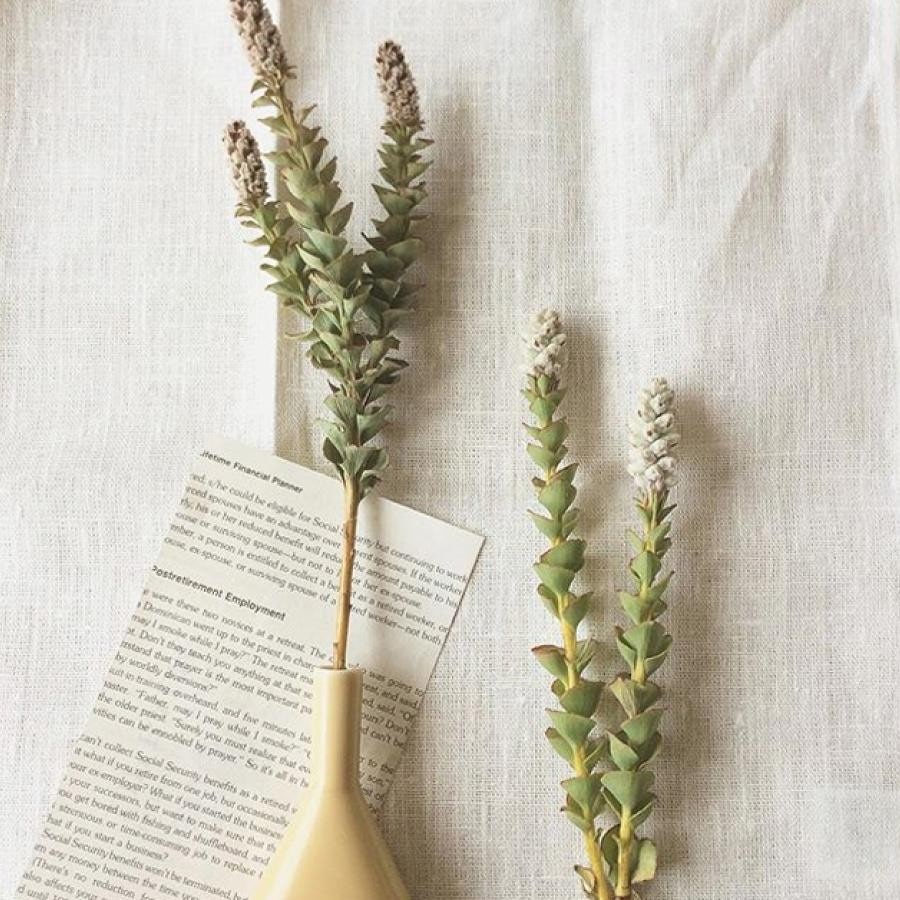 フラワーベース 「etude」 / DO Original 24 クリーム