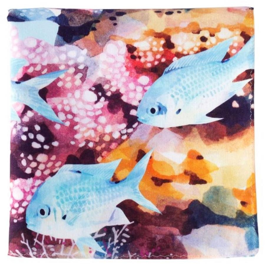 サンゴ礁の或る日常