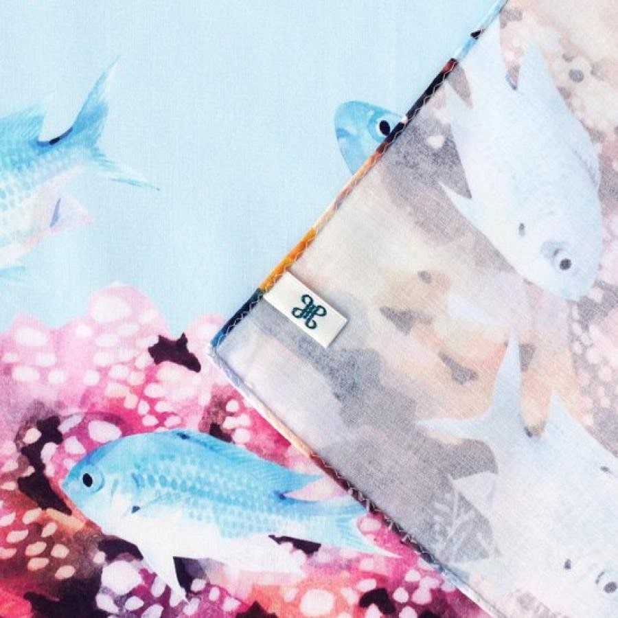 サンゴ礁の或る日常