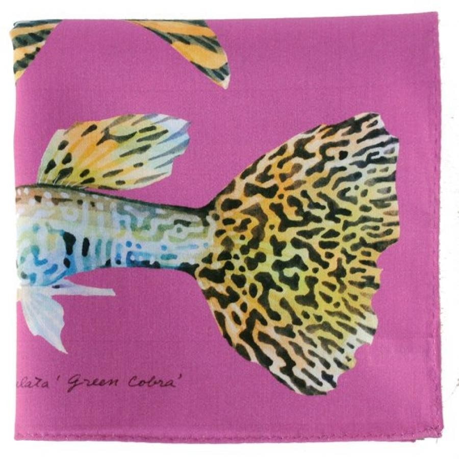 オールドファッションな熱帯魚たち