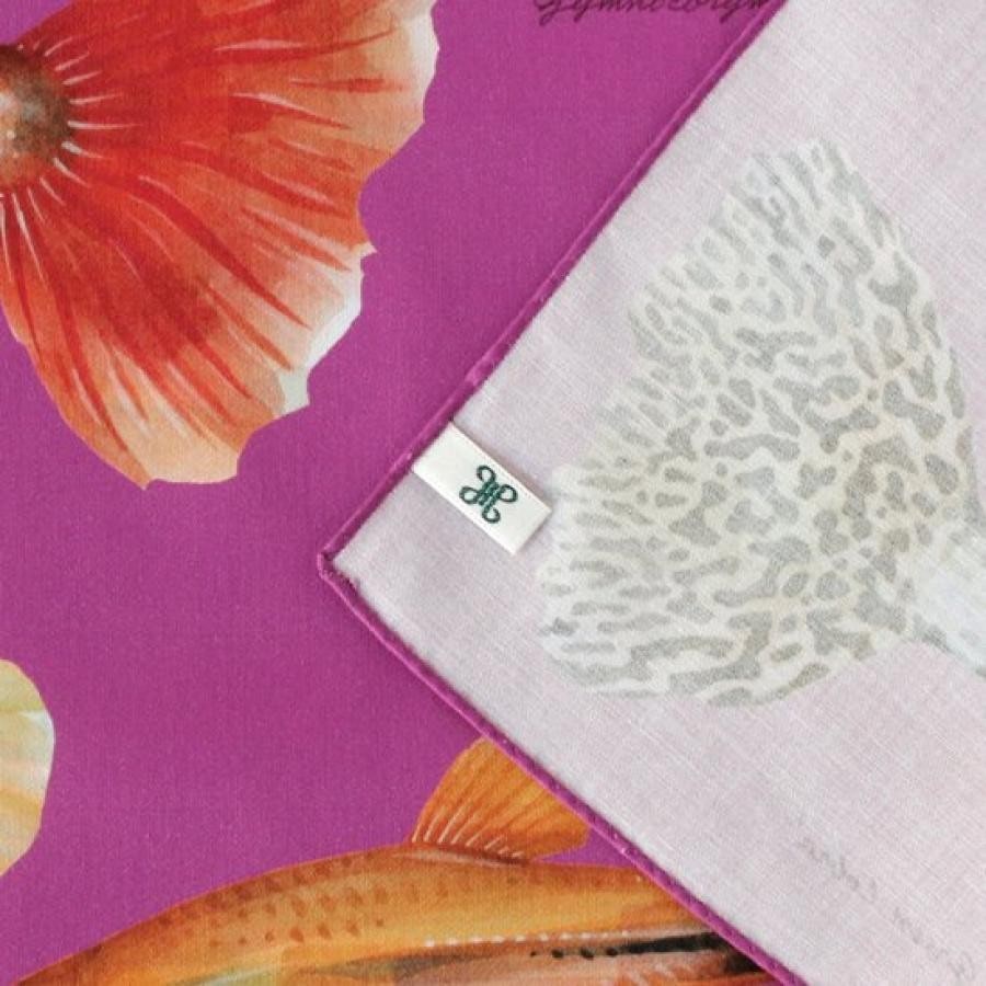 オールドファッションな熱帯魚たち