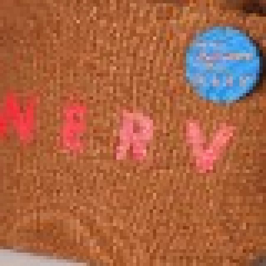 NERV Shin Lunch Bag (BROWN×RED) BROWN×RED ONE SIZE