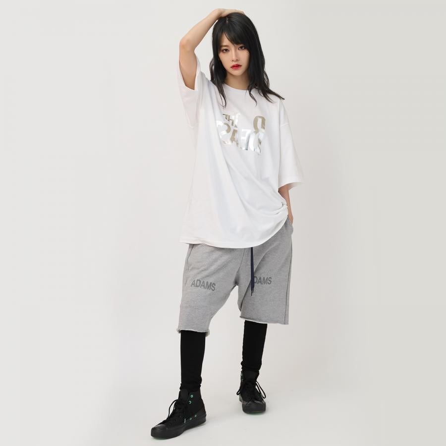 THE BEAST BIG T-Shirt (WHITE×SILVER) WHITE×SILVER ONE SIZE